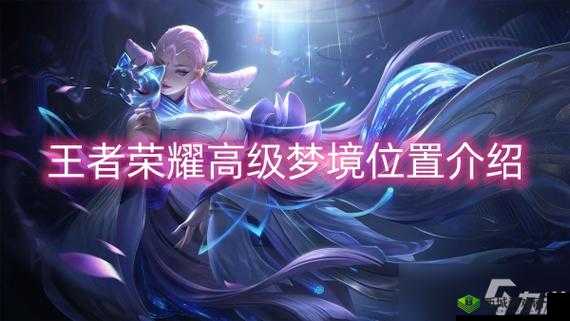 2021年王者荣耀高级梦境入口揭秘：全面解析与分享